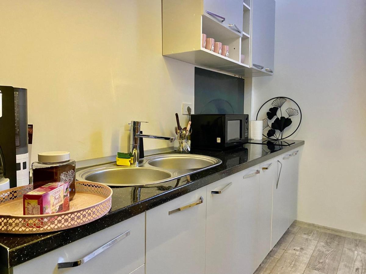 The Central Apartament Daire Kaloşvar Dış mekan fotoğraf